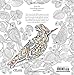 Beautiful Birds and Treetop Treasures (A Millie Marotta Adult Coloring Book)