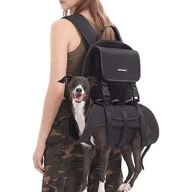 Amazon.com New Releases: The best-selling new & future releases in