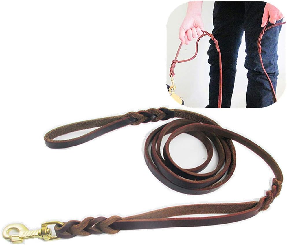 best double handle dog leash