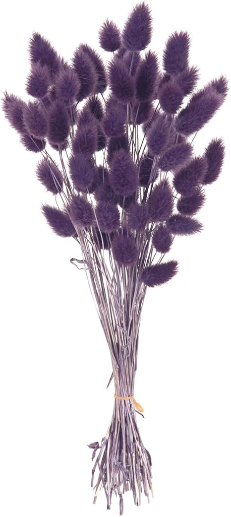 Amazon 大地農園 ドライフラワー ハニーテール 10g入 グレープ Do0460 460 造花 オンライン通販