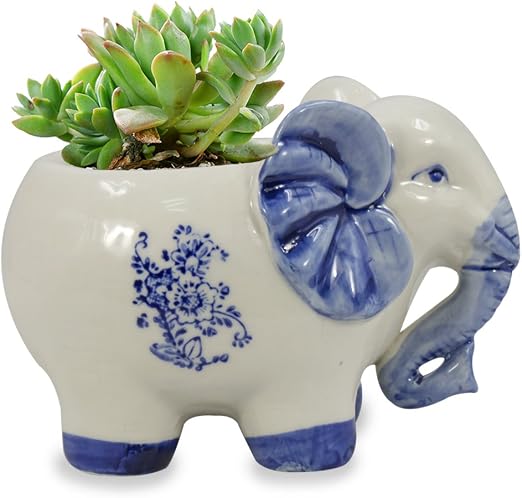 Dahlia elefante hecho a mano cerámica carnosas maceta/maceta ...