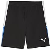 Puma Mens Teamliga Shorts