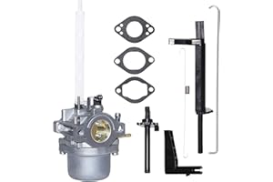 Carburetor fit for Briggs & Stratton Snowblower Replaces # 796122 794593 793161 696737 Compatible 20A114 20A414 20M114 20M107