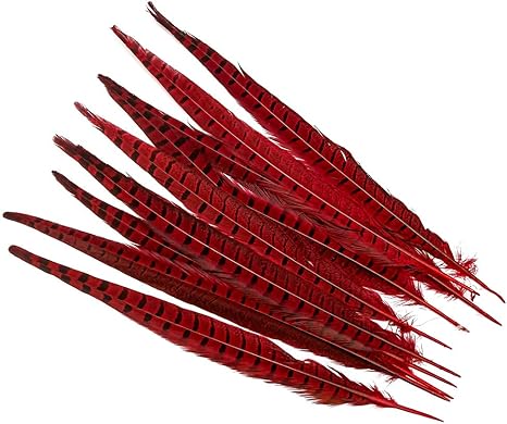 Amazon.com: wanjin 10PCS Red Natural Pheasant Feathers Pheasant ...