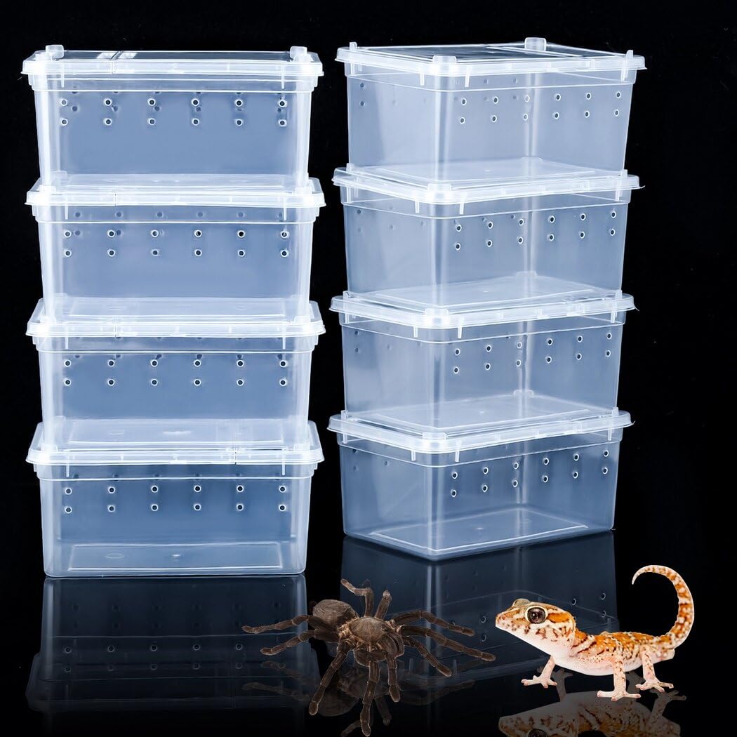 Mua 8 Pcs Spider Terrariums Breeding Box Hatching Container Transparent ...