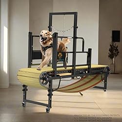 PawPaw's Dog Treadmill for Large Dogs, Medium Dogs