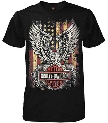 Harley-Davidson Men's Distressed Shady Skull Short Sleeve T-Shirt