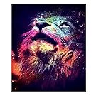XLJ 5D DIY Diamond Painting Cross Stitch Craft Kit Diamond Pictures Of Crystals Embroidery Kits 30x40CM (Colorful lion)