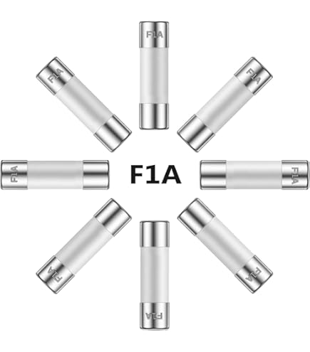 ALLECIN 5x20MM 1A 250V Slow Blow Ceramic Fuses 0.2 x 0.78 Inch 1