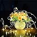 ER CHEN 165ft Led String Lights,500 Led Starry Lights on 50M Silver Copper Wire String Lights Power Adapter + Remote Control(Warm White)