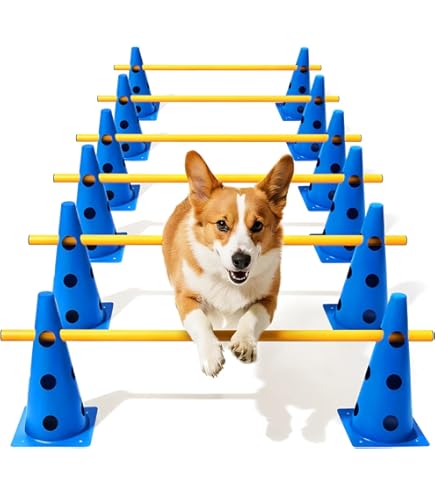 FitPaws® K9FITbone® – Regular, Aqua | Plataforma de treinamento de