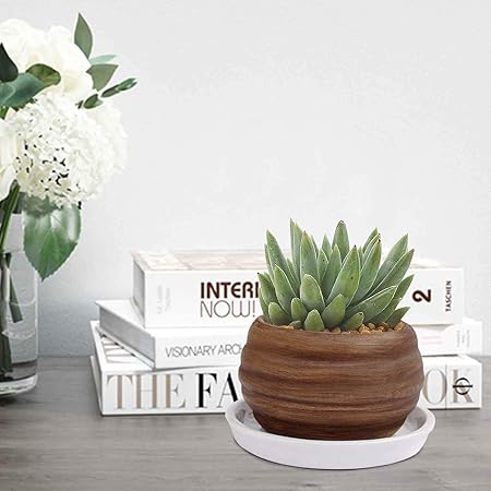 Lasaki Dholak with Tray Plate Ceramic Pots for Indoor Plants,Planters,Flower pots,gamla for Indoor,Outdoor,Succulent Pot(D: 10.5 cm, H: 7 cm) (Color:Antique, Plate:White) cir002