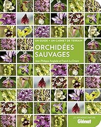 Orchidées sauvages