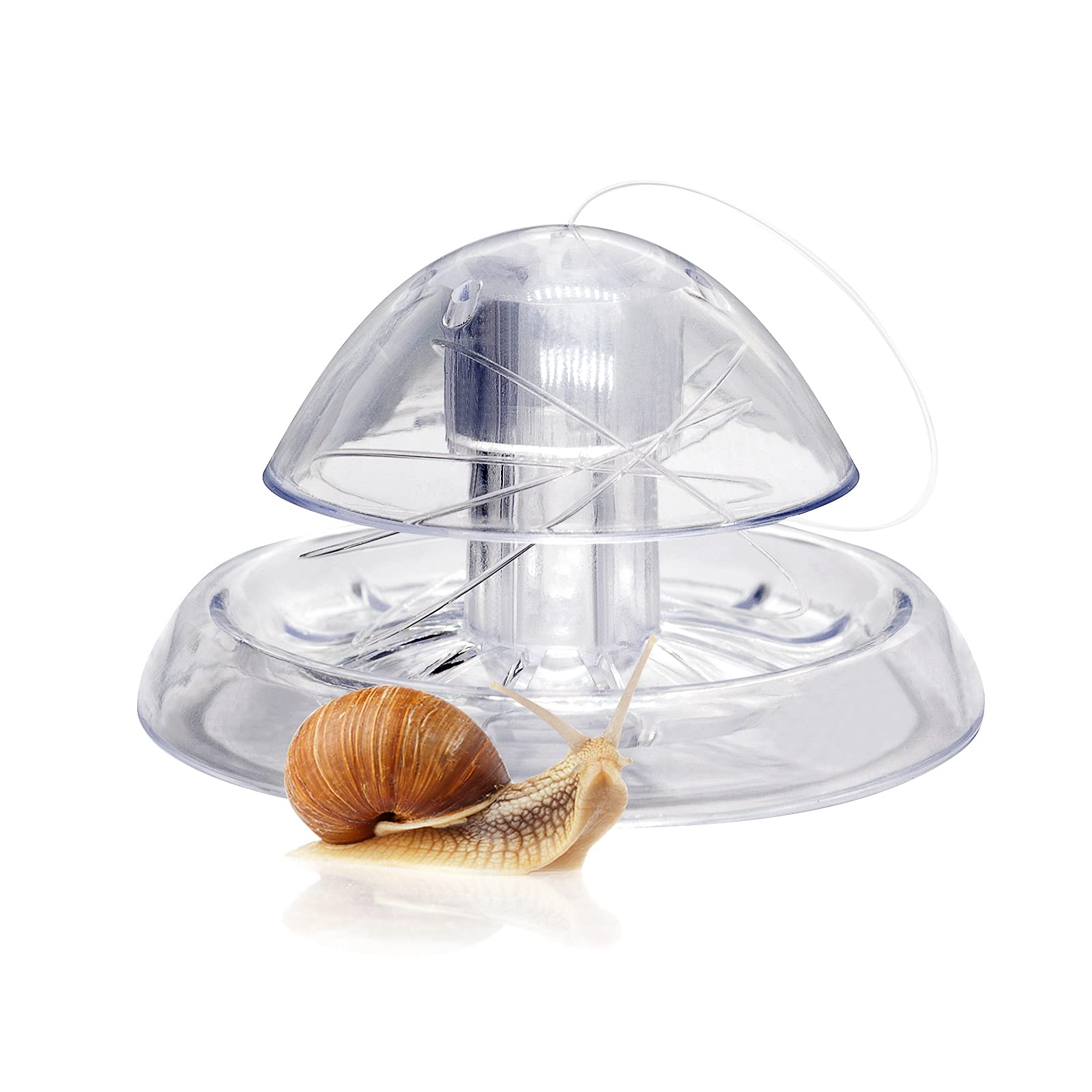 WEAVERBIRD Aquarium Snail Trap Clear Plastic Bait for Aquarium Planarian Leech Pest Catch Environment Aquarium Natural Cleaner