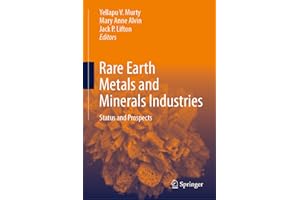 Rare Earth Metals and Minerals Industries: Status and Prospects