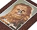 American Greetings Funny Chewbacca Star Wars Birthday Card with Glitter