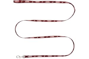 Little Earth NCAA Pet Team Lead