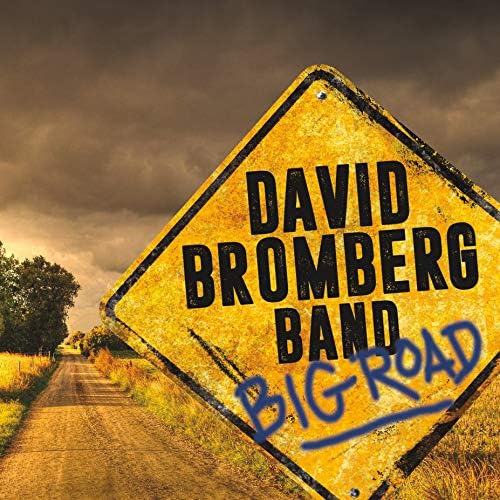 Amazon.com: The Best Of David Bromberg: CDs & Vinyl