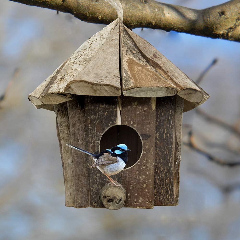 Amazon Com Flying Spoon Wooden Bird House Chickadee Wren Bird