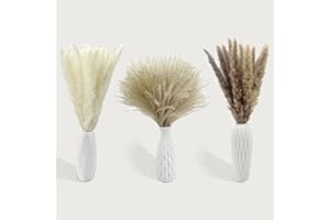 ZTTXL 70Pcs Dried Pampas Grass 15 Pcs White Pampas & 15 Pcs Brown Pompous Grass & 40 Pcs Natural Dried Reed Fluffy Dry Boho f