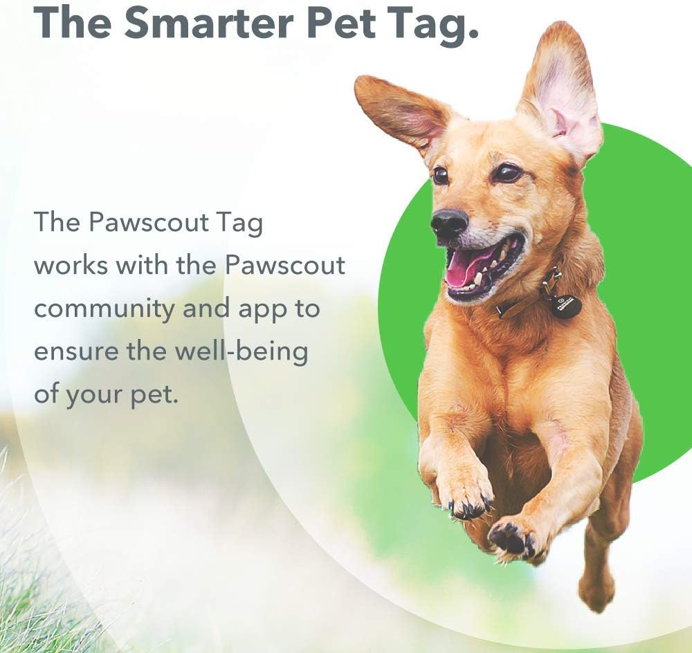 pawscout smart tag