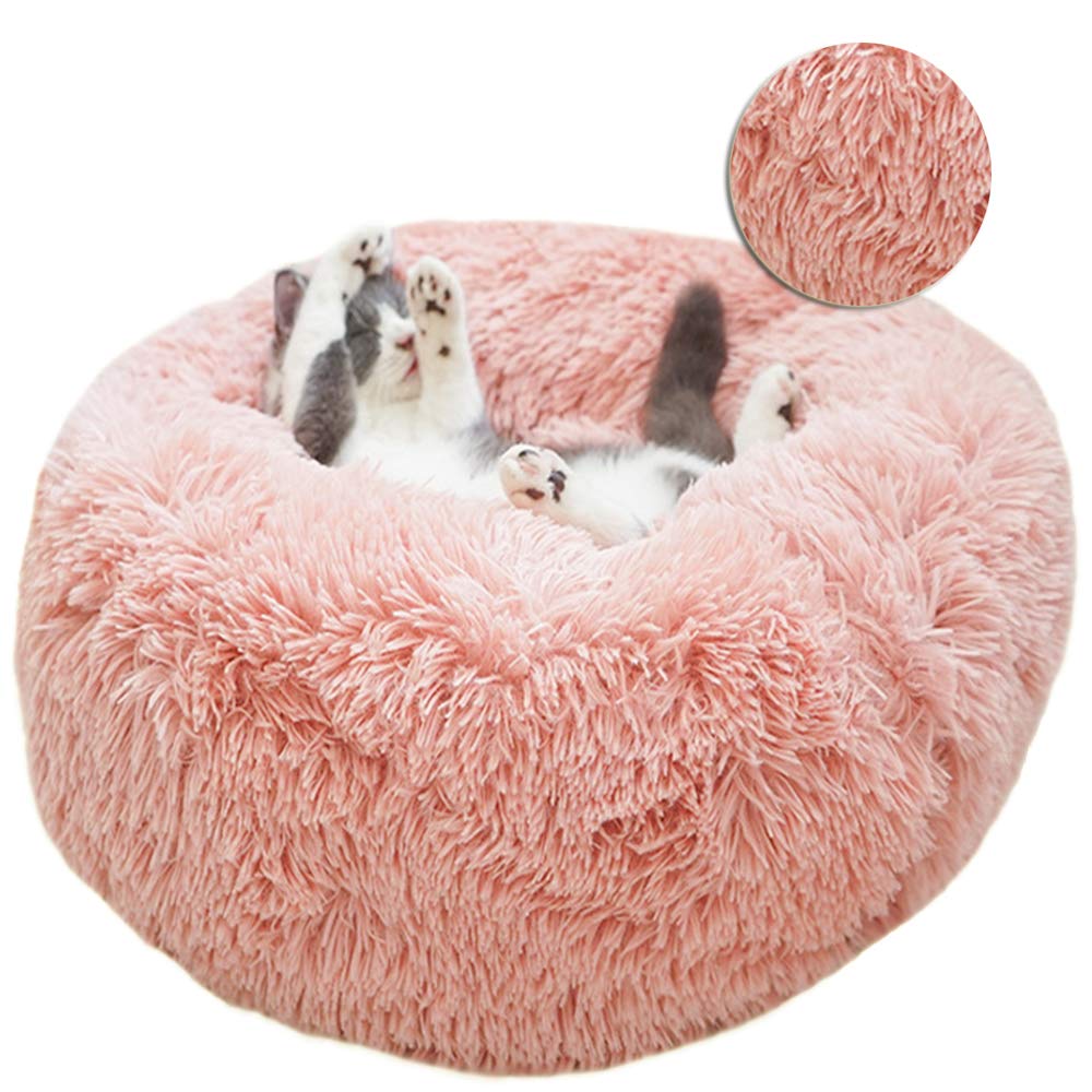 absolute dog bed