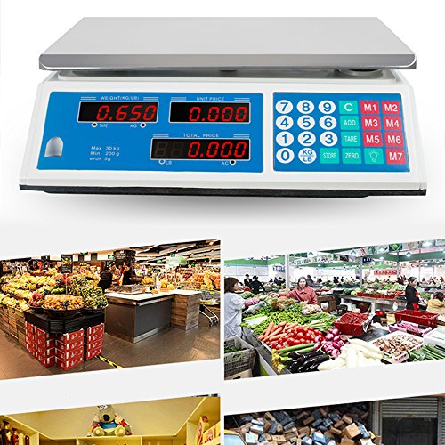 Zinnor Digital Electronic Weight Scale 30kg 66lb Price Computing