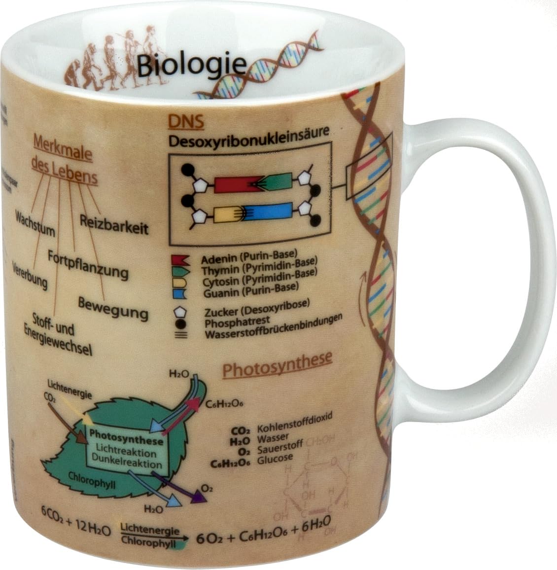 Könitz Knowledge Mug Biology, Porcelain, 1 Pack
