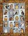 Ashton Publications Outstanding Owls Applique