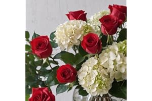 KaBloom PRIME NEXT DAY DELIVERY - Holiday Collection: 6 Red rose and 2 White Hydrangeas .Gift for Birthday, Sympathy, Anniversary, Get Well, Thank You, Valentine, Mother’s Day Fresh Flowers