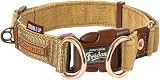 EzyDog Double Up Dog Collar Reflective X Large Nylon Webbing