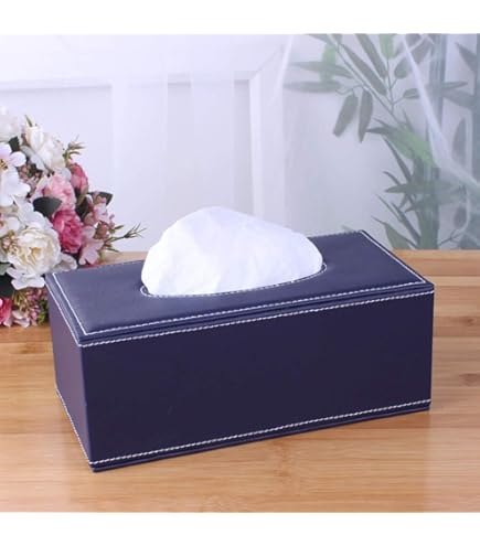 希少✤ DOUBLE SIDED TISSUE CASE COLOR: GRAY Amazon.com: X-Press It