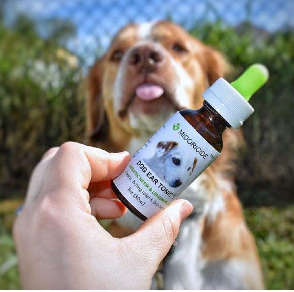 povidone iodine for dogs ears