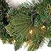 National Tree Company Pre-Lit Artificial Christmas Wreath, Green, Carolina Pine, White Lights, Decorated with Pine Cones, Christmas Collection, 24 Inches