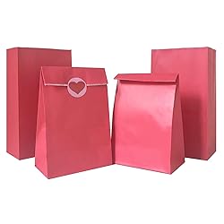 Artseen Party Favor Paper Bags for Party