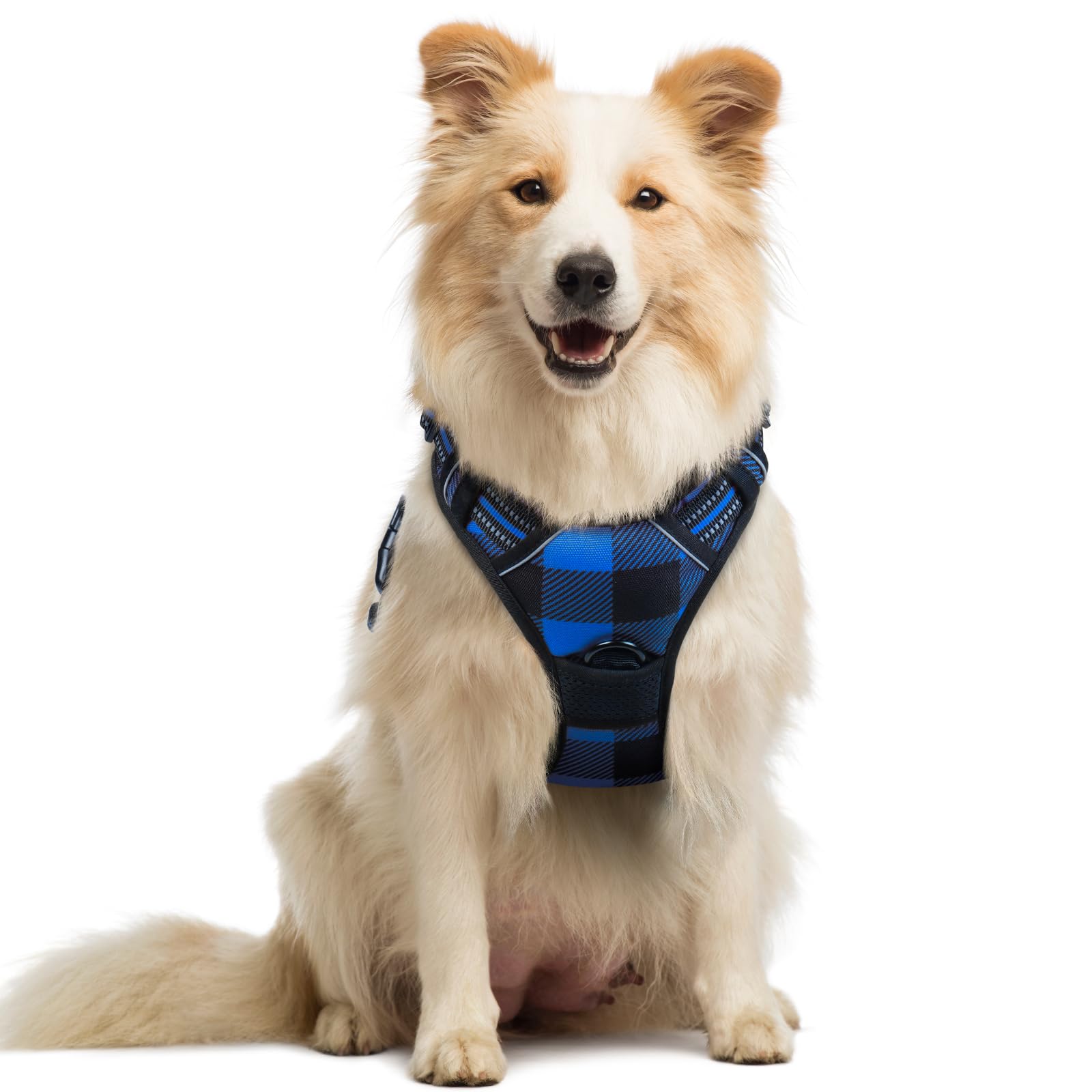 Photo 1 of rabbitgoo Dog Harness No Pull with 2 Leash Clips, Adjustable Soft Padded, Reflective Oxford No Choke Pet Vest with Easy Control Handle for Medium Sized Dogs, Blue Plaid, M