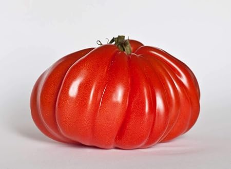 Asklepios-seeds® - Tomatensamen, 100 Samen Ochsenherz Tomate, riesige Fleischtomate, alte Sorte