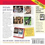 Image de 365 Cats 2015 Page-A-Day Calendar