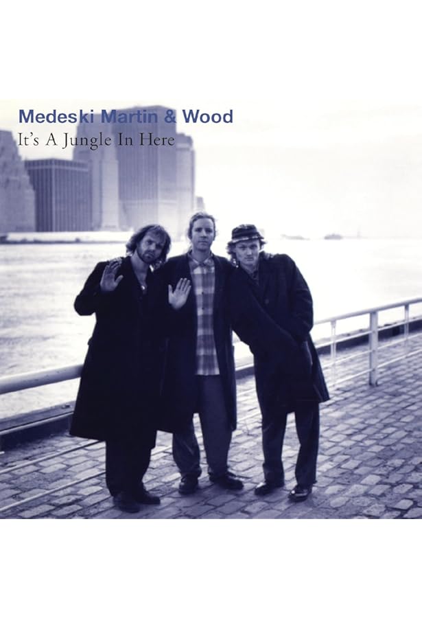 MEDESKI MARTIN & WOOD - Combustication - Amazon.com Music