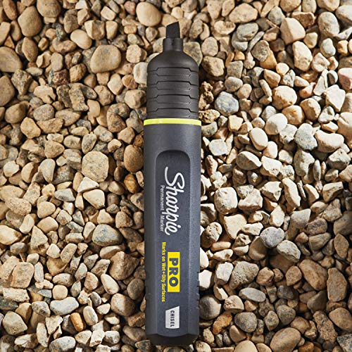 Sharpie Pro Permanent Marker, Medium, Chisel Tip, Black, 12 Count