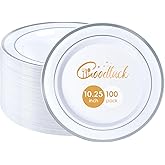 Goodluck 100PCS Silver Plastic Plates, 10.25 Inch Dinner Plate with Silver Rim, Heavy Duty Disposable Plastic Plates for Party, Wedding, Birthday & Daily Use