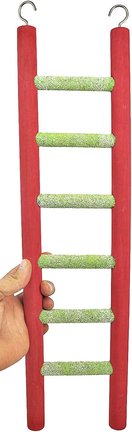 Which Is The Best Cement Bird Ladder