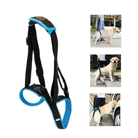 dog sling pets at home