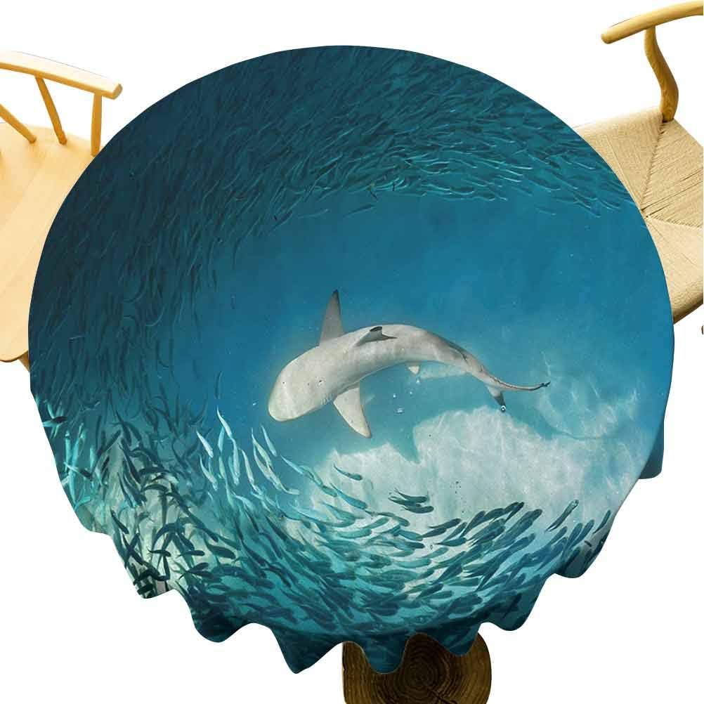 Flyerer Dinning Tabletop Shark and Small Fish Ocean Wilderness Waterscape Wildlife Nature Theme Picture Teal Beige,Suitable for Family, Party, Wedding or Restaurant 36 inch