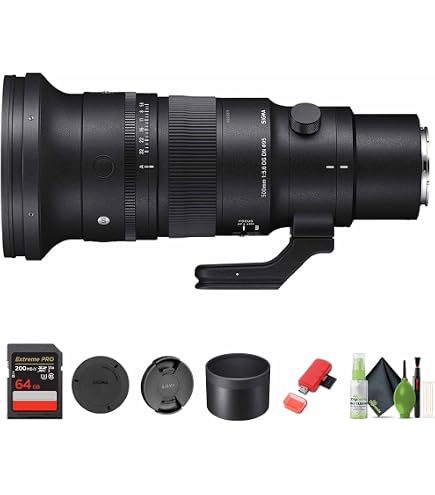 Amazon.com : 500mm F5.6 DGDN OS for Sony E Mount : Electronics