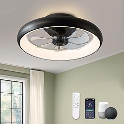 LUDOMIDE Boho Ceiling Fans with Lights, 20" Flush