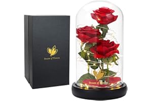 DREAM OF FLOWERS Christmas Flower Gifts for Women,Beauty and The Beast Rose in Glass Dome with 2 Lights Mode,Light up Rose Anniversary Romantic Gift for her,Birthday Gifts for Women,Mom,Wife,Girlfriend,Silk Red Rose