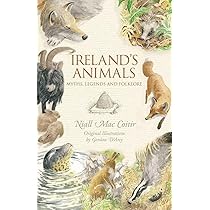 Ireland's Animals: Myths, Legends and Folklore: MacCoitir