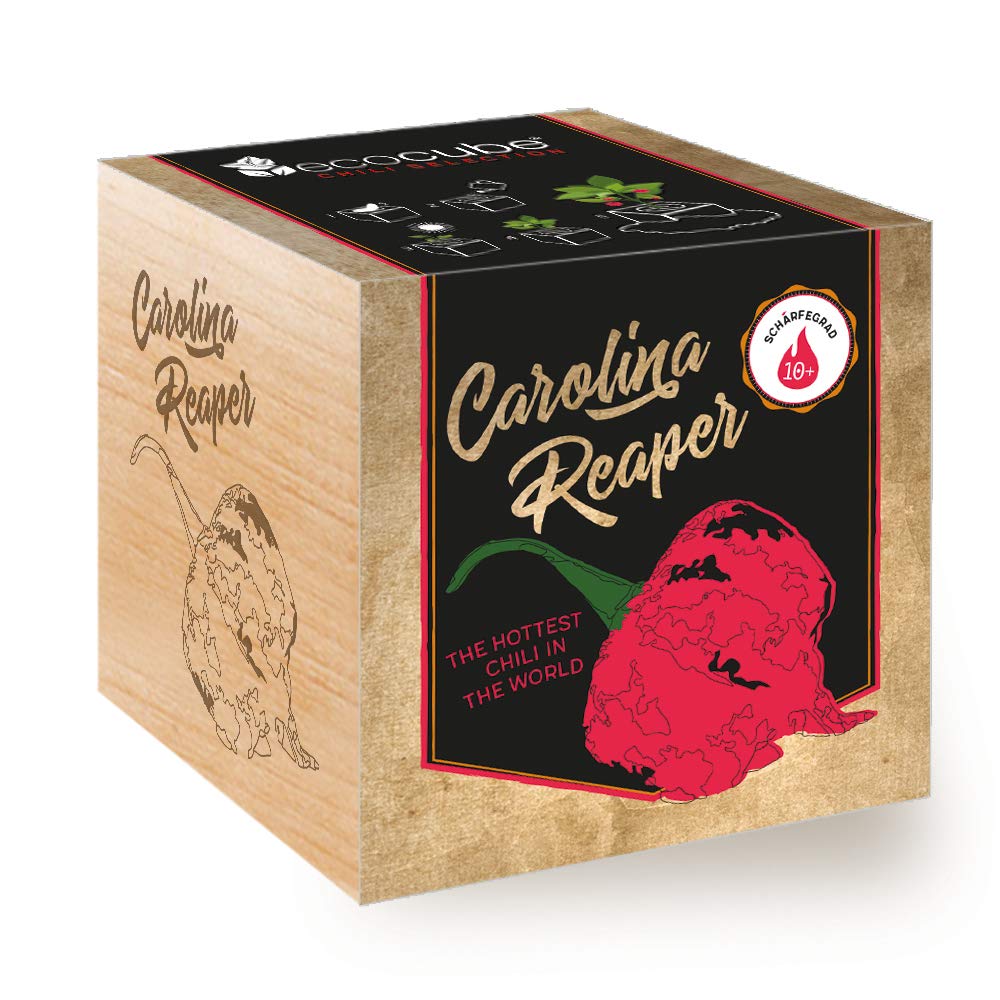 Feel Green Ecocube Chili Carolina Reaper, Sharpness Grade: 10+, Scoville: 2.2 million, Sustainable Gift Idea (100% Eco Friendly), Grow Your Own, Growing Set, Plants in Wooden Cube, Made in Austria
