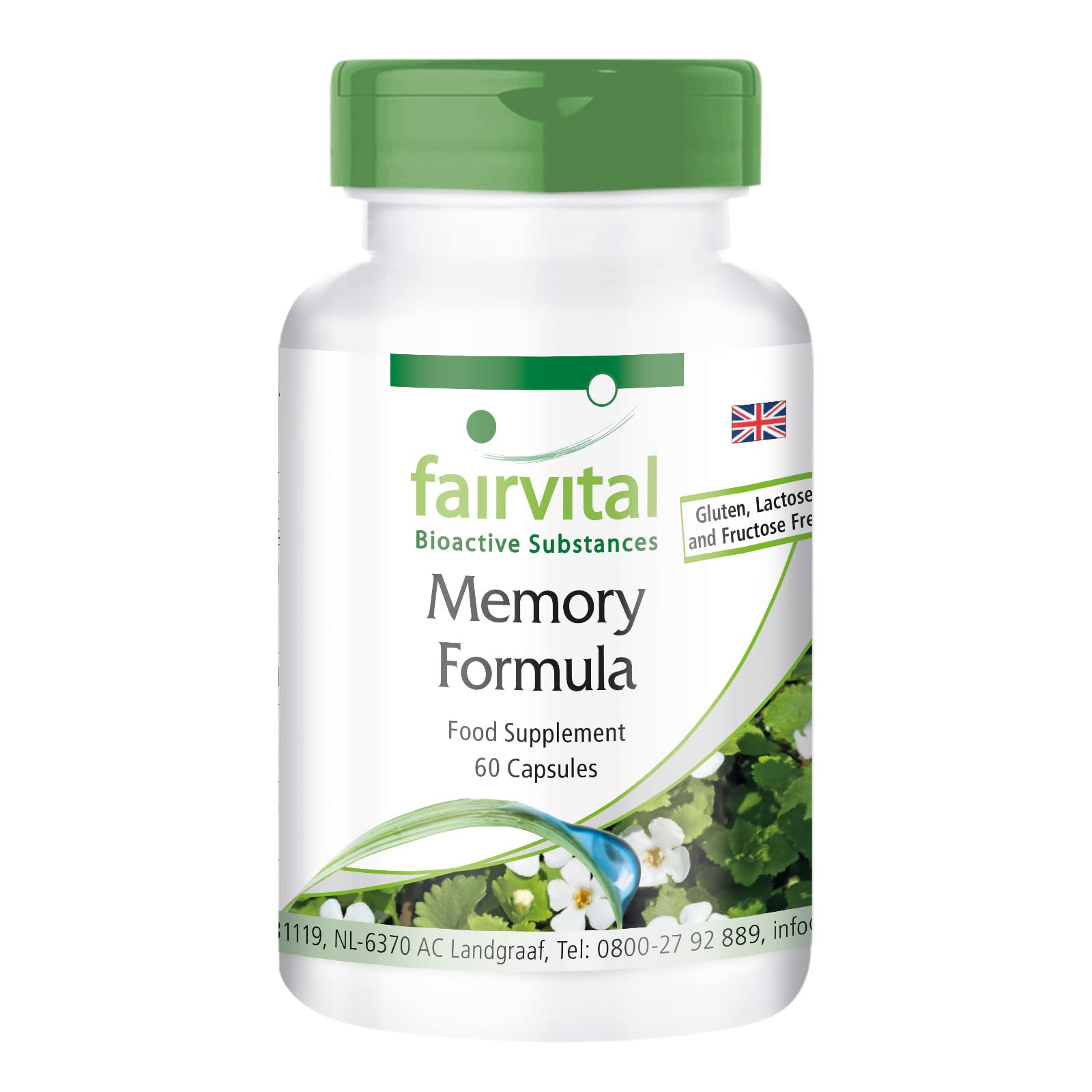 Fairvital | Memory Formula - Vegan - HIGH Dosage - 60 Capsules - with brahmi (Bacopa monnieri), Ginkgo and More